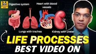 Life Processes Part 4 Complete Chapter | CDS NDA AFCAT Biology  NCERT Class 10 Science