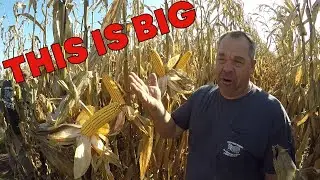 HARVESTING THE FUTURE