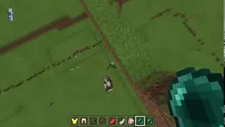 cow2