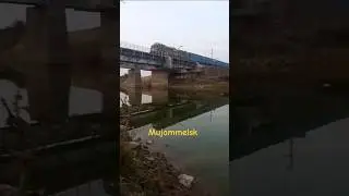 Goods train is escaping the bridge. #shorts #train #railway