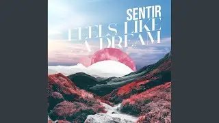 Feels Like A Dream (Radio Edit)