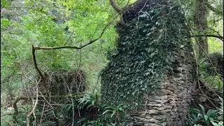 Searching for the lost village of Clicket on Exmoor!
