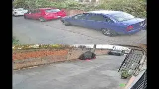recopilacion de videos, temblor 2026 guerrero, cdmx y alrededores