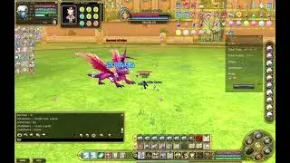 insanity flyff colo easy