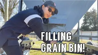 Filling Grain Bin by Elise Swanson