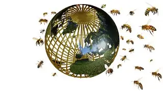 The most environmentally friendly countries