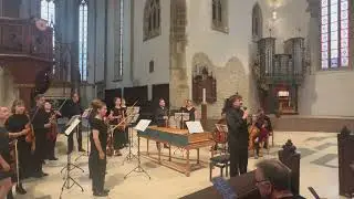 Konzert in Hermannstadt: Kammerorchester der Universität Bamberg