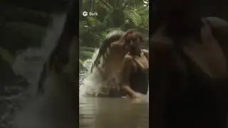 A peaceful swim turns deadly when a massive crocodile attacks. #AlligatorAttack #AmazonJungle