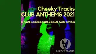 Disco Cop (Radio Edit)
