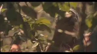 Picking Starbucks Origin Espresso