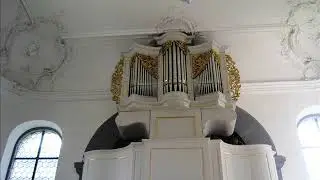 P. Cajetan Bonfig OESA (1730-1797): Aria in B