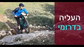 עליה בדרומי
