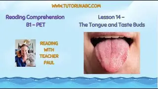 Reading Comprehension - B1 - Lesson 14 - The Tongue and Taste Buds