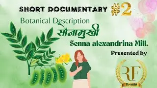 Botanical Description of Sonamukhi / Senna alexandrina Part 2