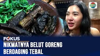 Belut Goreng Gemuk nan Gurih di Sleman, Lezatnya Makin Nendang Pakai Sambal Terasi! | Fokus