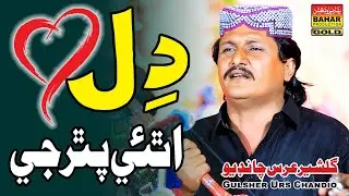 Pithar Ji Ah Dil | Gulsher Chandio | Album 30 | Sindhi songs | bahargoldprodduction | 
