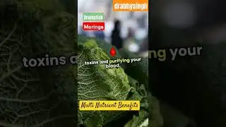 Why Moringa Isn't the Superfood You Think It Is? #SachMeCure
