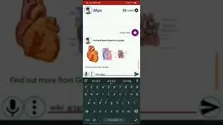 Miya Assistant version 1.0 released! Install this AI which is always active to assist you.