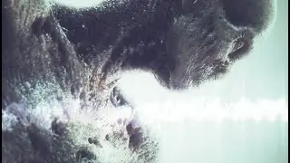 ARCH ENEMY &ndash; Silverwing (VISUALIZER)