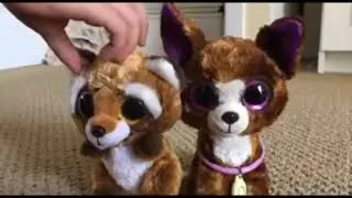 Beanie Boo MV- Havanah