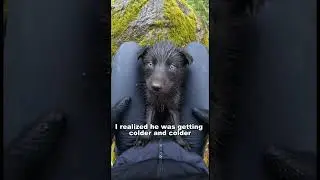 She Trusted Me With Her Baby... So I Had To Save Them Both