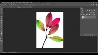 Easy Method for Background Removal in adobe photoshop