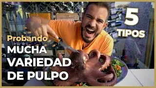 DEGUSTACIÓN BRUTAL PULPO 🐙 ¿Cuál escoger? *9 PLATOS*