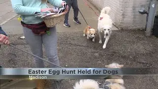 Local pet store hosts Easter egg hunt for four-legged friends