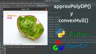 Aproximaci&oacute;n de contornos con openCV y Python | ConvexHull y approxPolyDP