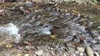 Enjoy the Serenity of Nature: Clear Water Flow & Natural Stones