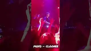 MOFO - CLOONEE (LAB MADRID)