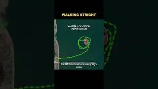 Can you walk in a straight line while blindfolded?