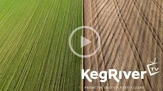 Keg River TV - Does Elemental Sulfur Help Build Soil Microbes?