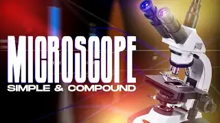 Ray Optics | Optical Instruments | Simple Microscope and Compound Microscope