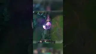 CUSTOM LEAGUE SKINS GO CRAZY