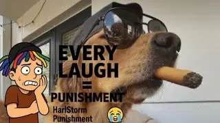 If I laugh 3 times the next video is a punishment video 
