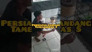 11/01/26. 088-168-00-001. Persiapan Kandang Tambakberas Jombang 5.