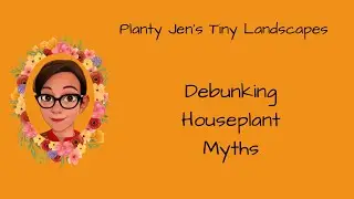Debunking Houseplant Myths