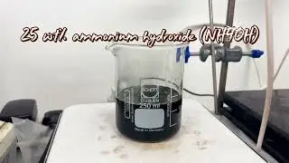 Self-assembled Fe3O4 Nanoparticles 