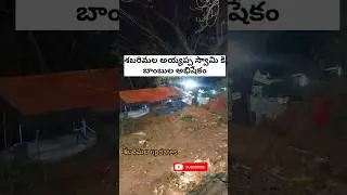 Bomb Abhishekam || Sabarimala updates #ayyappa #sabarimala #shorts #temple #hindu