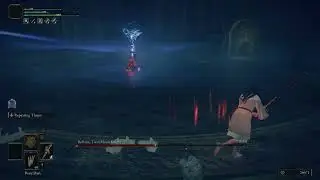 Elden Ring | Rellana, Twin Moon Knight | NG+7 | No Parry | No Hit | Level 1