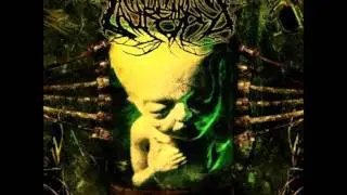 annotations of an autopsy - gore gore gadget (with lyrics) [HD]