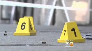 Cops: Surveillance Video Shows Flatbush Shooter Moments Before He Pulled The Trigger