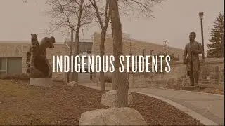 Next Steps -  Indigenous students