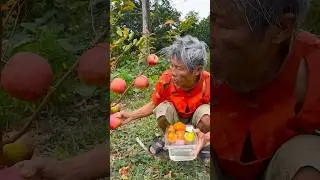 EAT fruit like this and you will be hooked forever!