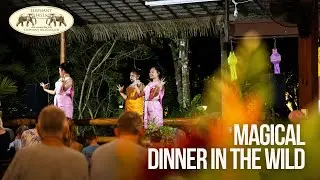 Dinner Time in the Jungle Camp 🌙| Elephant Hills Thailand