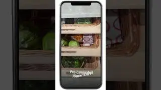 Your Dream Kitchen is Calling