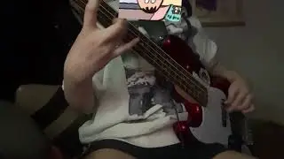 拝啓、少年よ (친애하는 소년이여)  Bass Cover ベースで弾いてみた