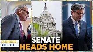 ANOTHER Senate Budget Vote FAILS, Johnson PRESSED On BACKPAY By DISTRESSED Military Mother | SUNRISE