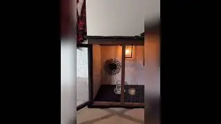 Indoor Chickens!? How do you keep a chicken as a house pet? I&rsquo;ll show you!